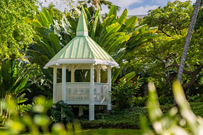 Big Island, Kona Hawaii Photographer - Outrigger Mini Session - Is $525 a good value?