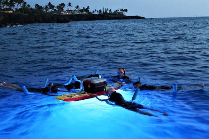 Big Island: Kona Manta Ray Snorkel Tour in Keauhou Harbor - Group size and the feel of the boat