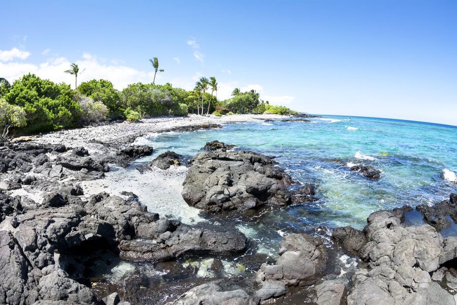 Big Island: Luxury Catamaran Trip along the Kona Coast - Key details before you book