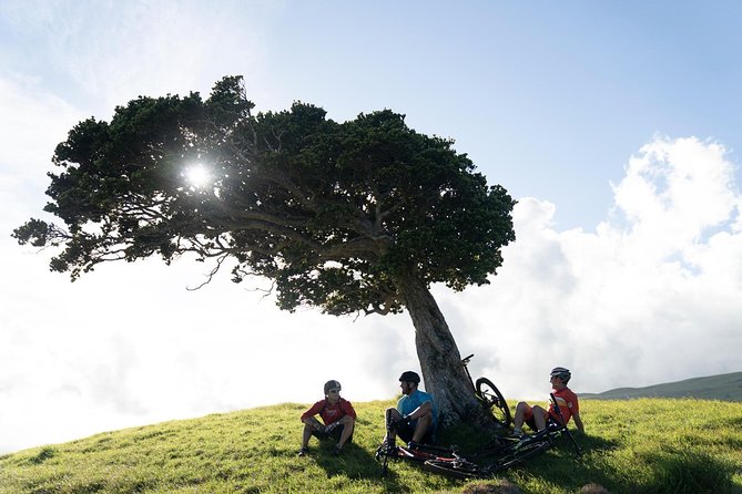 Big Island Mountain Biking on Anna Ranch - Who will enjoy this ride most