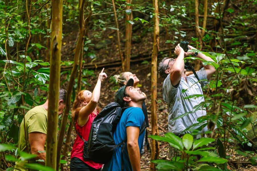 Big Island: Native Bird Watching & Hiking Tour - Why Hakalau Forest matters