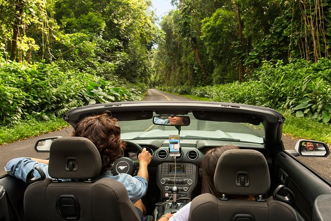 Big Island North Island Jungle Adventure - Self-Guided Audio Tour - Sugar, railroads, and the hard lessons of the coast