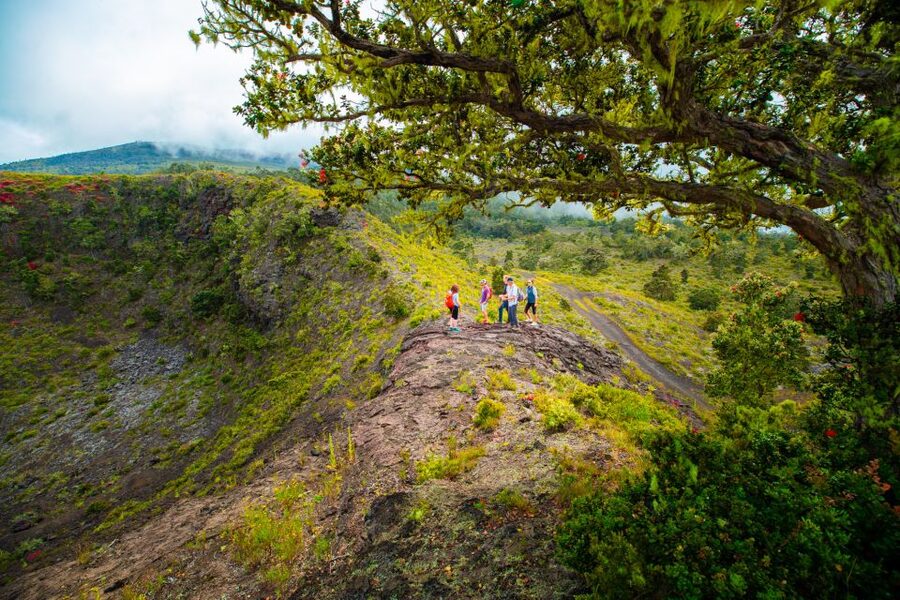 Big Island: Off the Beaten Path Volcano Crater Hike - What the guide adds to the walk