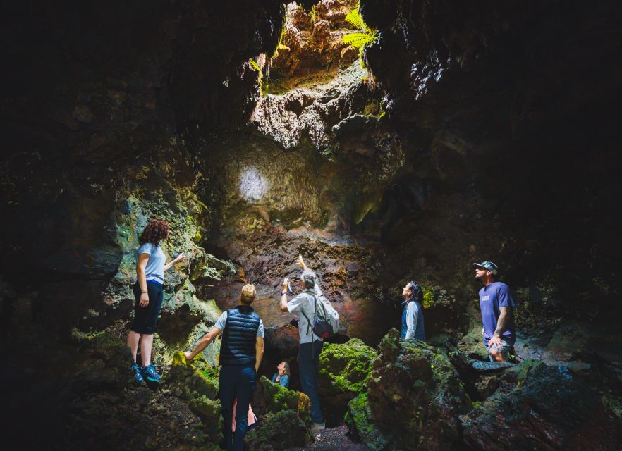 Big Island: Off the Beaten Path Volcano Crater Hike - The 35-minute ride from Kona