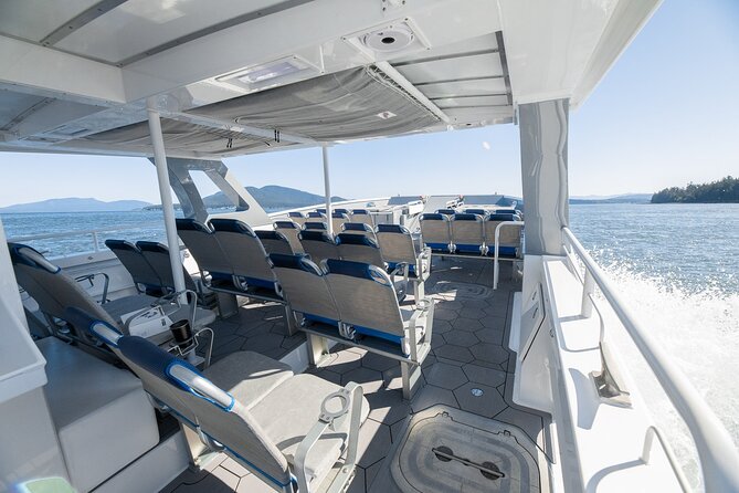 Big Island: Pelagic Whale Watch Tour - Going offshore into the pelagic zone