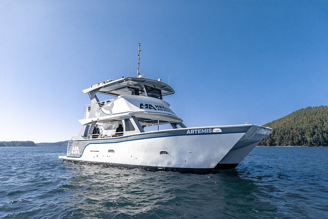 Big Island: Pelagic Whale Watch Tour - Leaving Honokohau Harbor at 8:30 a.m.