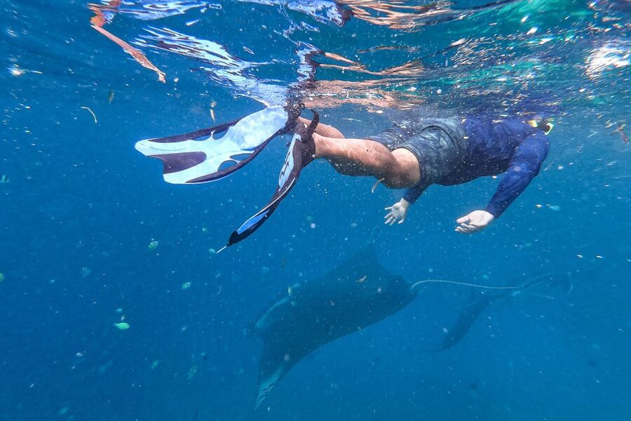 Big Island: Snorkel with Manta Rays - Manta Guarantee - Snacks, cocoa, and the ride back