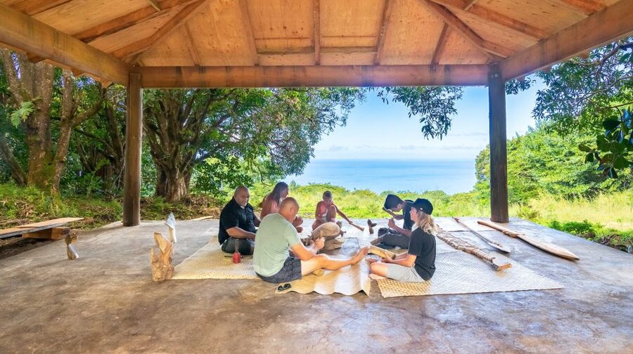 Big Island: Tiki Carving Workshop - Choosing local wood for your tiki