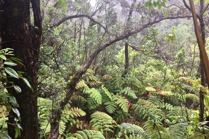 Big Island Volcano Adventure from Kona: Small Group - Kilauea and Hawaii Volcanoes National Park