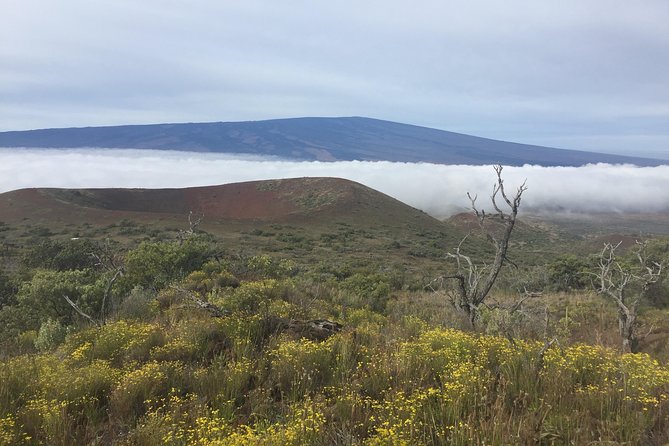 Big Island Volcano Adventure from Kona: Small Group - What Scott Adds to the Day