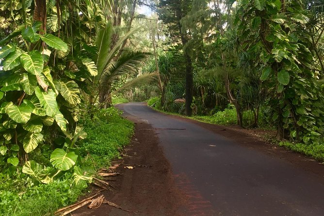 Big Island Volcano Adventure from Kona: Small Group - Is $247 a Good Value?