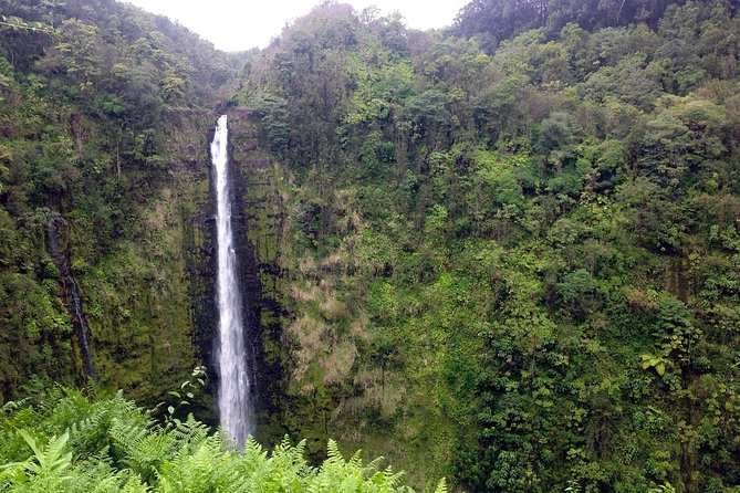 Big Island Volcano Adventure from Kona: Small Group - Akaka Falls and the Wet Side of Hawaii