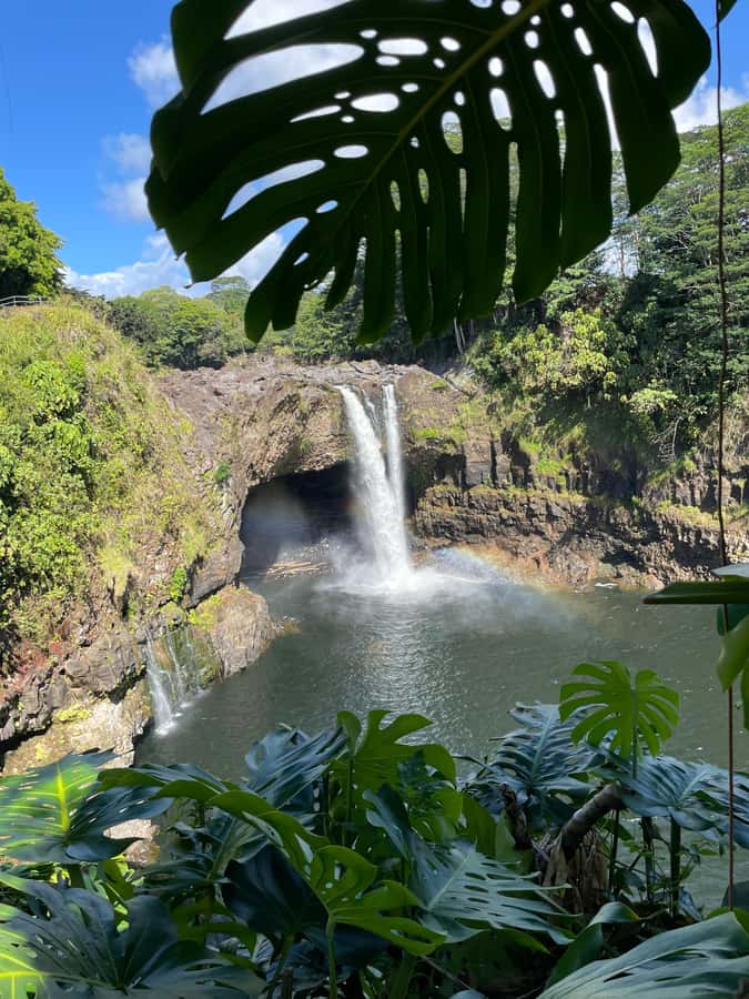 Big Island: Volcano, Black Sand Beach, Waterfall, with Lunch - Should you book the Kilauea and Punaluʻu tour?
