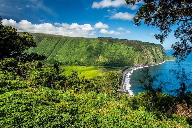 Big Island Waterfalls Tour with Swimming and Botanical Garden - Hawaii Tropical Botanical Garden rewards slower walking
