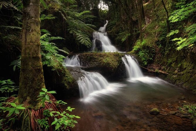 Big Island Waterfalls Tour with Swimming and Botanical Garden - Akaka Falls towers over the final east-side stops