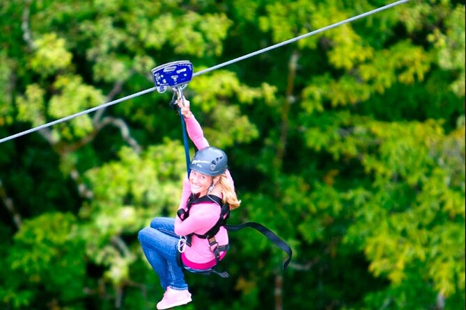 Big Island Zipline Tour Near Akaka Falls (250-ft Waterfall!) - Key points to know before booking