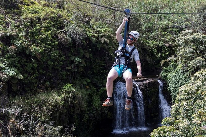 Big Island Zipline Tour Near Akaka Falls (250-ft Waterfall!) - What $246 buys you
