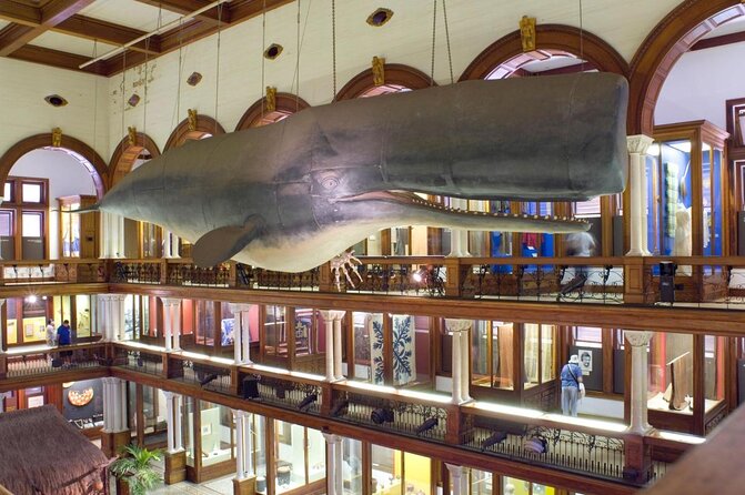 Bishop Museum General Admission Ticket - Why Bishop Museum matters in Honolulu