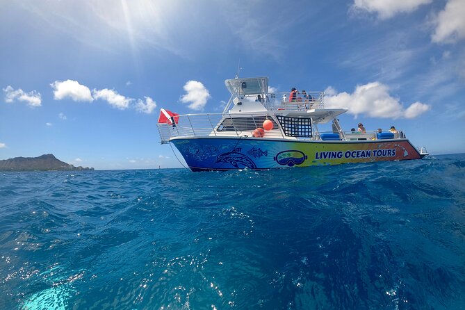 BYOB Sunset Cruise off the Waikiki Coast - Timing your evening for the best experience