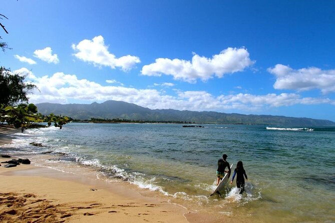 Cage-Free Shark Swim from Oahu - Swimming with sharks in open water