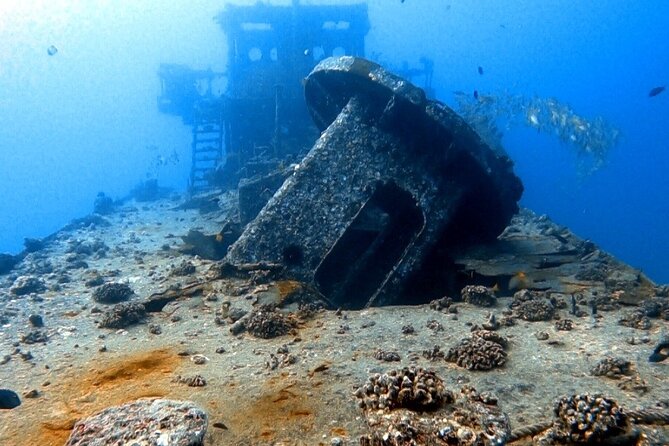 Certified Diver: 2-Tank Deep Wreck and Shallow Reef Dive Off Oahu - Stop one: the Sea Tiger wreck at about 105 feet