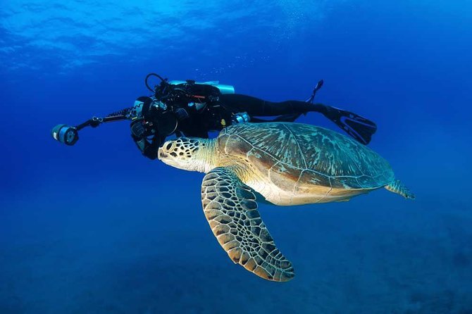 Certified Diver: 2-Tank Deep Wreck and Shallow Reef Dive Off Oahu - What the $248.81 price includes