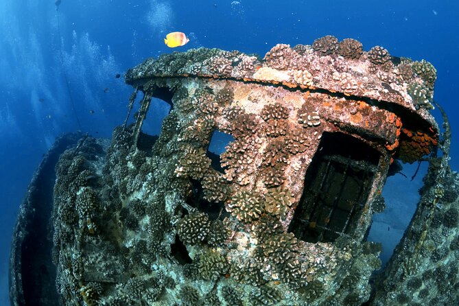 Certified Diver: 2-Tank Deep Wreck and Shallow Reef Dive Off Oahu - Who should book this experience