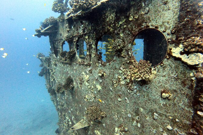 Certified Diver: 2-Tank Deep Wreck and Shallow Reef Dive Off Oahu - Meeting the boat at Kewalo Basin Harbor