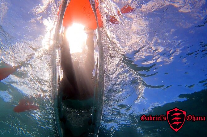 Clear Kayak Tour with Pontoons and Optional Snorkeling-Unlimited - Key details to know before you book