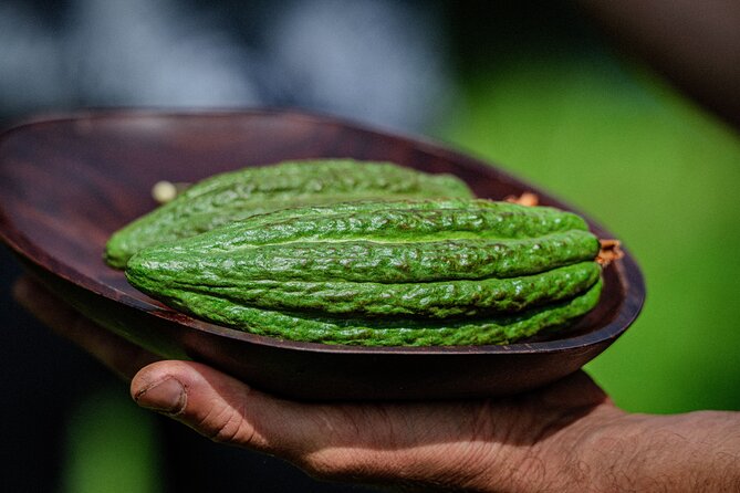 Craft Chocolate Tasting and Farm Experience on the Big Island - Fermentation, the crucial step most tours skip