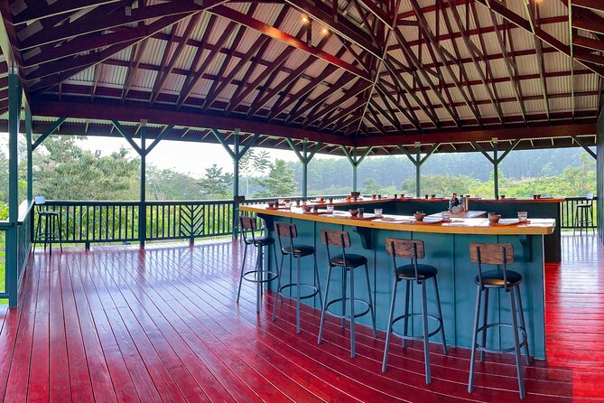 Craft Chocolate Tasting and Farm Experience on the Big Island - Chocolate history without losing the plot