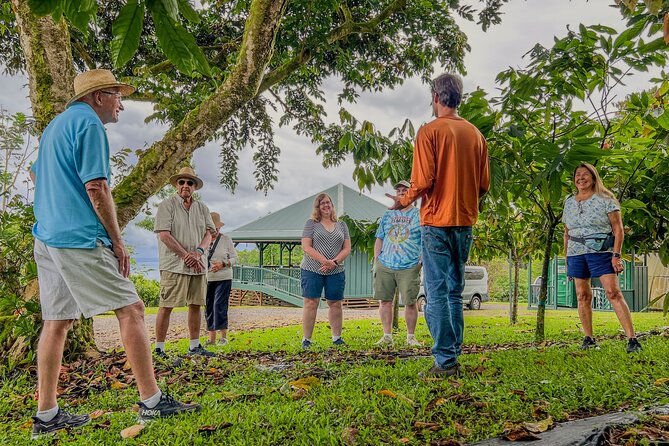 Craft Chocolate Tasting and Farm Experience on the Big Island - The tasting: from cacao juice to craft bars