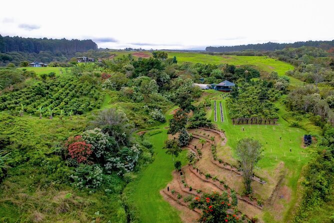 Craft Chocolate Tasting and Farm Experience on the Big Island - Is $135 a fair price?