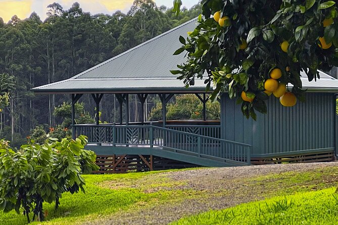 Craft Chocolate Tasting and Farm Experience on the Big Island - Who will enjoy this farm experience?