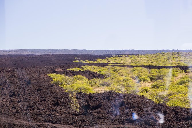 Day Trip from Oahu to Hilo: Volcano Adventure - Why this Oahu to Hilo day trip is worth considering
