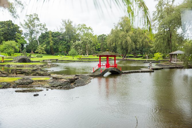 Day Trip from Oahu to Hilo: Volcano Adventure - Steam Vents and Thurston Lava Tube
