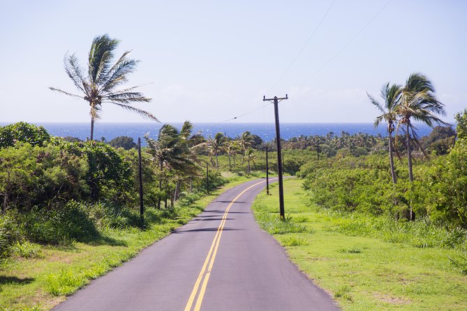 Day Trip from Oahu to Hilo: Volcano Adventure - Akaka Falls and Rainbow Falls