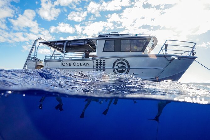 Dive with Sharks in Hawaii: Shark Tour from Haleiwa - The safety briefing sets the tone