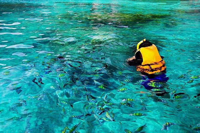 Dolphin, Sea Cave & Captain Cook Snorkel Combo in Kealakekua Bay - Kailua-Kona or Keauhou Departure