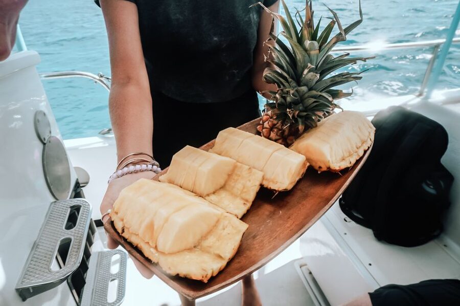 Dolphin Watch Snorkel and BBQ in Kona, Big Island - The wildlife watch along the Kona Coast