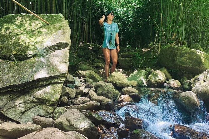 Epic Waterfall Adventure, the Best of Maui - What the private format adds