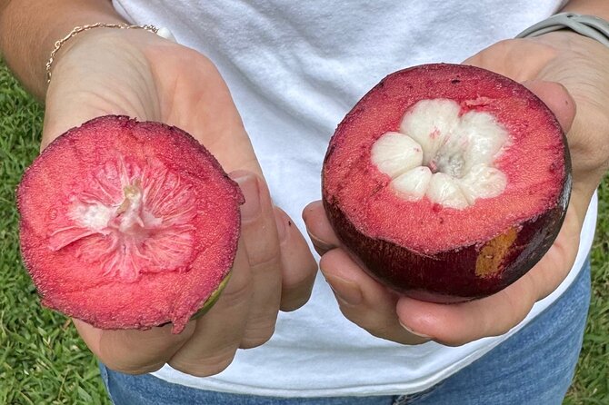 Exotic Fruit Tasting Tour in Kona - Key points at a glance