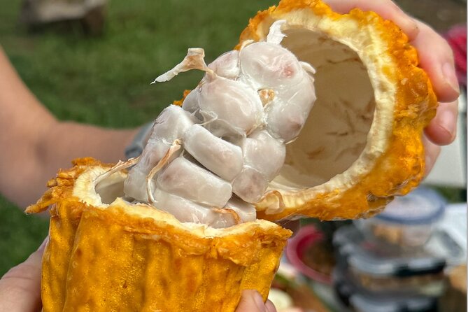 Exotic Fruit Tasting Tour in Kona - What to wear and bring