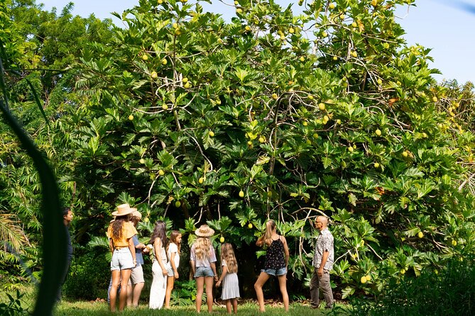 Farm and Food Experience in Kilauea - Getting there and planning your visit
