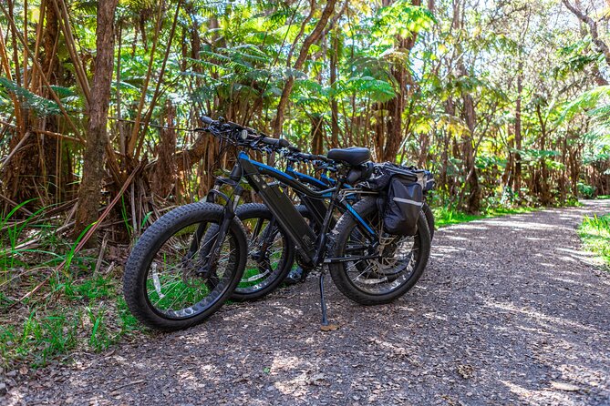 Fat Tire E-Bike Rental - Volcanoes National Park - Is $125 a fair price?