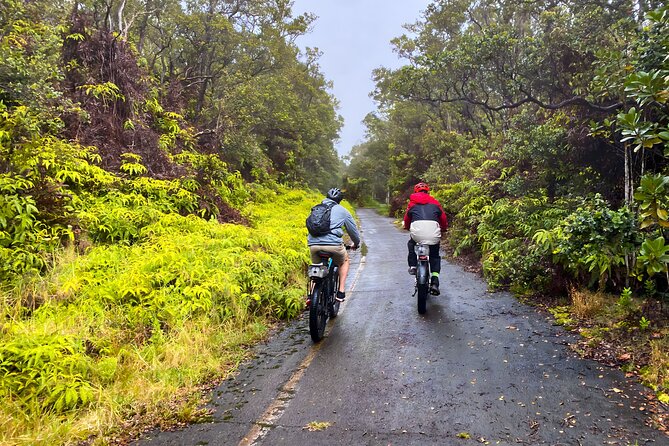 Fat Tire E-Bike Rental - Volcanoes National Park - Your three-hour ride through the park