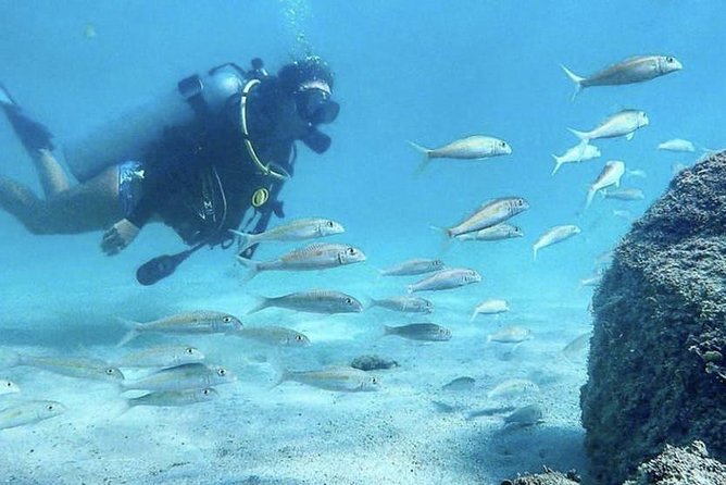 First-Time Scuba Diving in Honolulu + Free Videos - A gentle first step into Honolulu’s underwater world