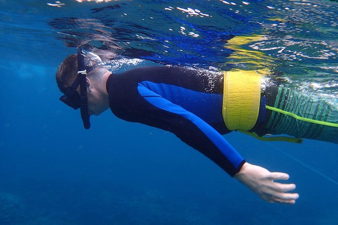 Four Winds Molokini Snorkeling Tour from Maalaea Harbor - Why Molokini makes this five-hour boat trip worthwhile
