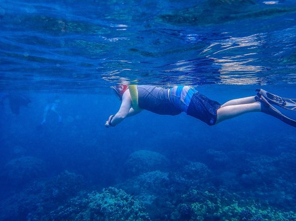 Four Winds Molokini Snorkeling Tour from Maalaea Harbor - Weather changes and alternate snorkel sites