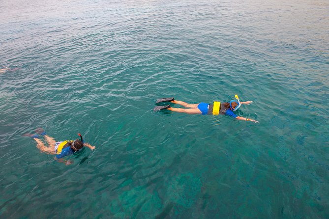 Four Winds Molokini Snorkeling Tour from Maalaea Harbor - Is the $202.59 price good value?